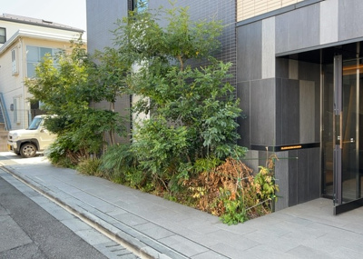 【庭】 | ベルジュール町田中町 | 物件によっては、入居者が個人的に使用できる専用庭がついているものもあります。また、住宅の中にある土間の部分を庭と呼ぶこともあります。庭の用途は住む人によって変わり、それによってデザインもさまざまです。