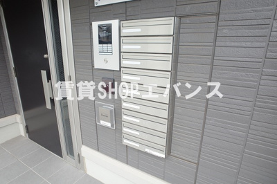  | ヒルクレスト