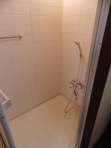 Tokyo Apartment @ Sengokuの浴室