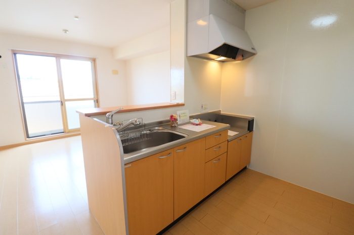 リビングタウンひたち野 Ａのキッチン|対面カウンターキッチン（浄水器付）