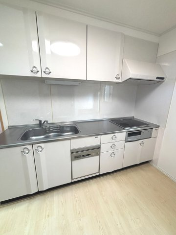 紫波町日詰戸建のキッチン|キッチン横の勝手口からそのまま2階建ての小屋へアクセス可能♪家事動線もスムーズで、収納や趣味スペースとしても便利に活用できる嬉しい設計。