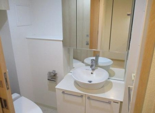 ライオンズクオーレ東京三ノ輪シティゲートの洗面所|洗面台