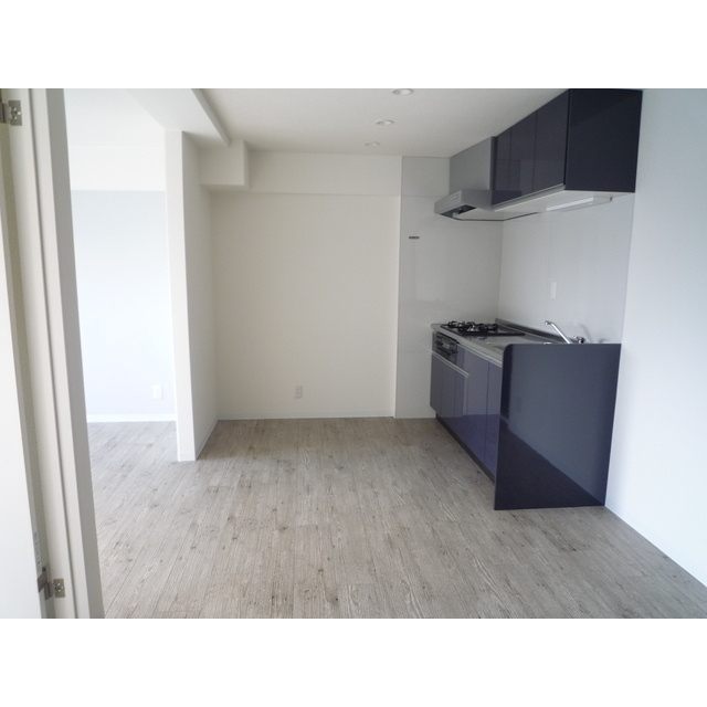 ＨＯＵＳＥ６１０のキッチン