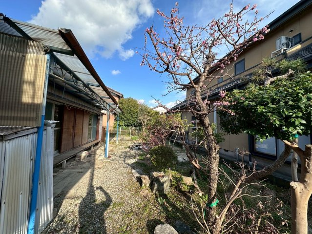 中古戸建　大垣市島町　昭和44年築の庭