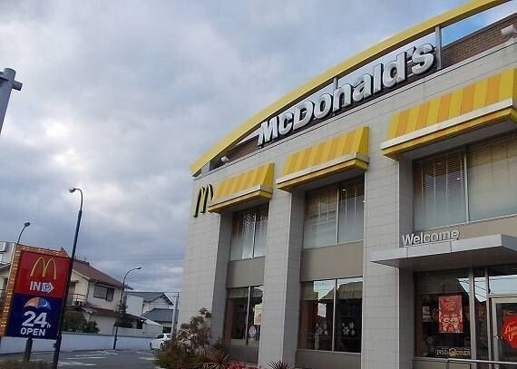 ピュールメゾンの周辺|マクドナルド姫路辻井店さんまで600m