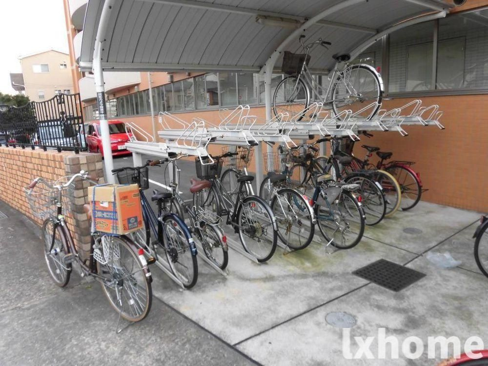 デル　スール　ラ　ローザのその他