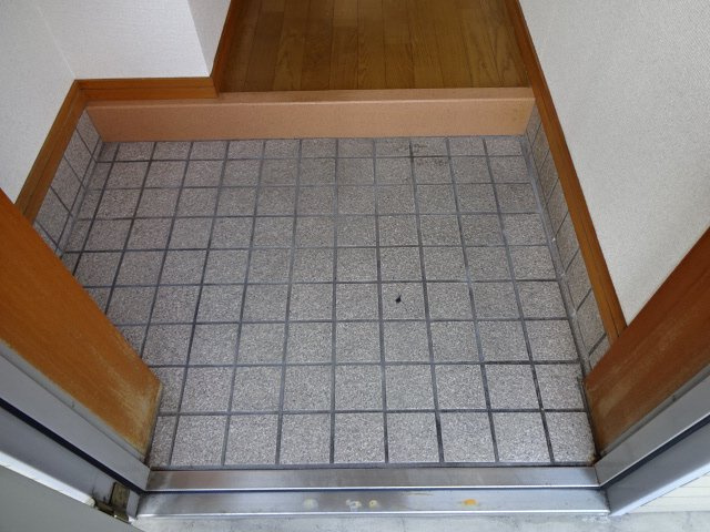 姫路市三左衛門堀東の町の賃貸マンションの玄関