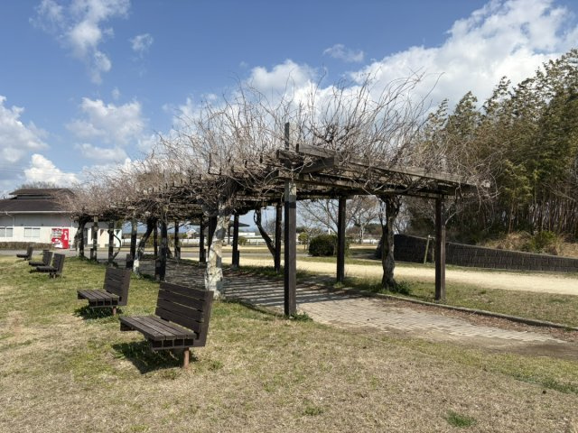 小郡市大崎土地3号地の周辺|運動公園