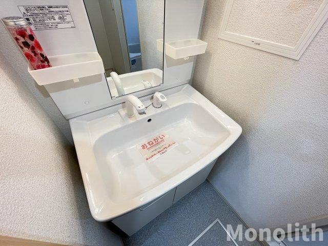 メゾンドソレイユⅡの洗面所