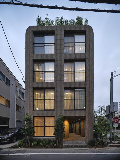 trias257の展望