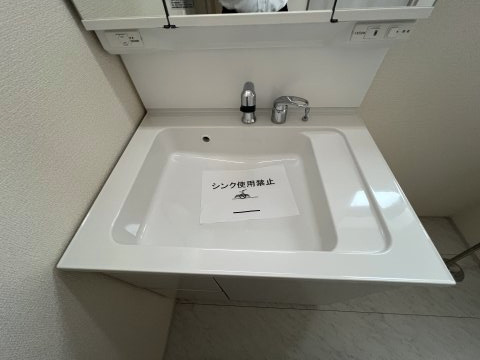 あきる野市伊奈　新築戸建全15棟の独立洗面台|暮らしを快適に変えるシャワー付洗面台