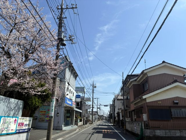 【周辺】 | ダイアパレス南鳩ヶ谷グランエール