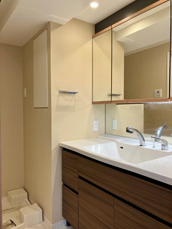 エクセレントシティ船堀Ⅲブライトステージの洗面所