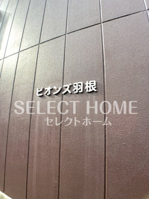  | ピオンズ羽根（Ⅴ）