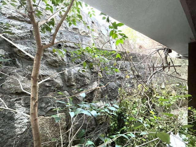 灘区城の下通アパートの展望