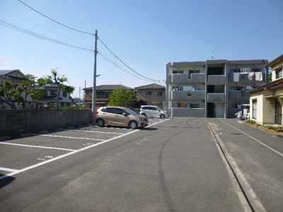 【その他】 | シェトワ椿・