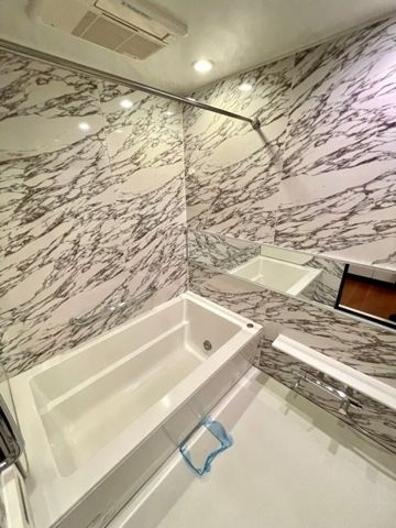 レジディア芝浦ＫＡＩＧＡＮの浴室