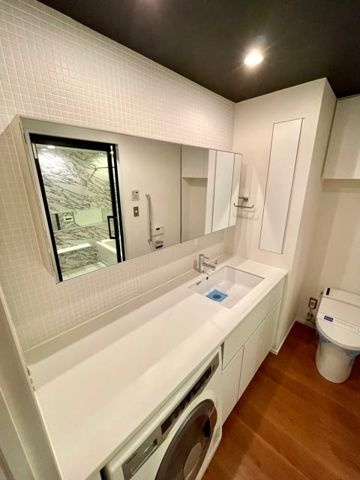 レジディア芝浦ＫＡＩＧＡＮの独立洗面台