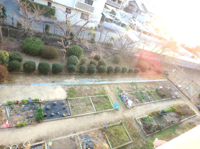 東仁川団地四号棟のその他|家庭菜園スペース付きです(1区画)。