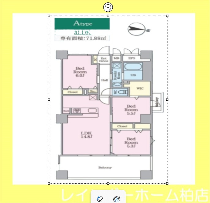 特典：仲介手数料が無料です!!の間取り