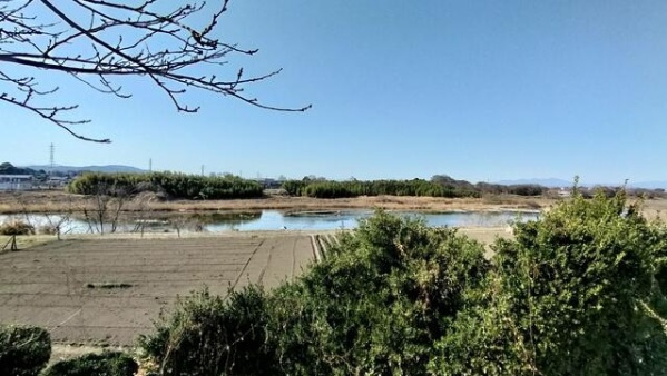 深谷市畠山　中古住宅の展望