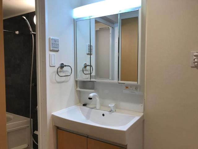 フローラ小石川の洗面所