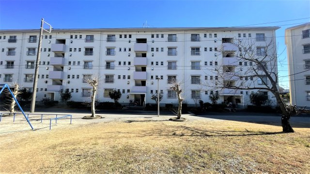 みさと団地8街区3号棟の外観|外観です