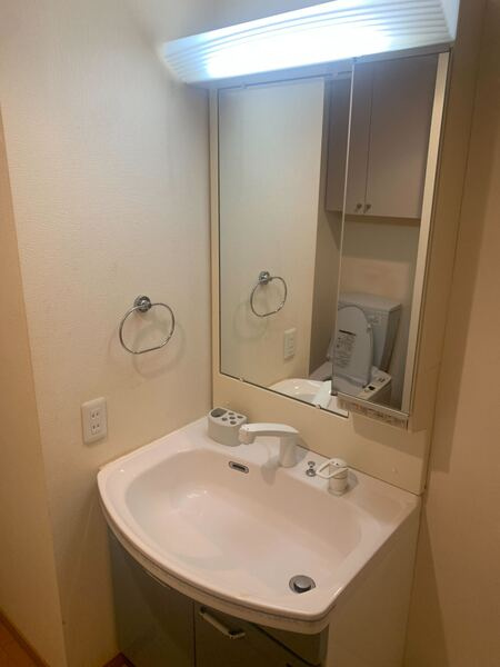 ラグジュアリーアパートメント文京千石＃02の洗面所