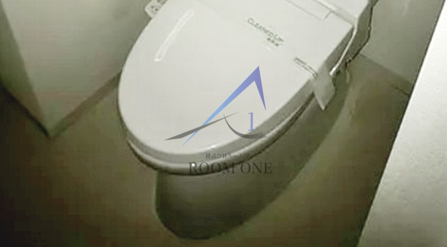 レアライズ綾瀬のトイレ|トイレです。