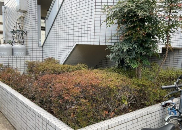 【中庭】 | キャッスルマンション小田急相模原 | 中庭（パティオ）とは、一つの建築物の内部に設けられた、壁などで囲われている庭のことを指します。コの字型、ロの字型が主流ですが、L字型の中庭もあります。最近では、インテリア性の高さからも人気があります。