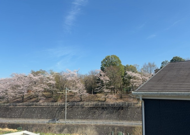 【展望】 | 眺望を気にして物件を探す場合、前面に建物が建っていないか現地で確認しましょう！前面に建物があると景色はもちろん、日当たりや風通しにも影響が出てきます。住んだ時のことを想像しながら現地見学をしましょう。