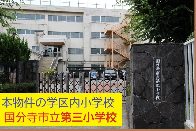 国分寺市東恋ヶ窪３丁目　Ａ号棟|本物件の学区内小学校は、「市立第３小学校」です