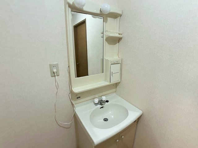セジュールユウアイＢ202の洗面所