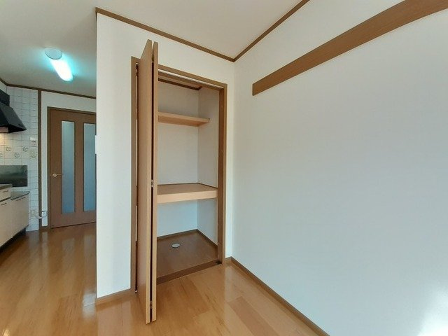 リバーサイド広面の収納|大きなものも収納できそうです