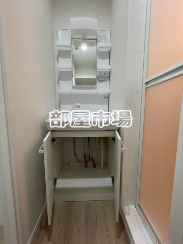 Brun Court Minamisenju -ブランコート南千住-の洗面所|収納