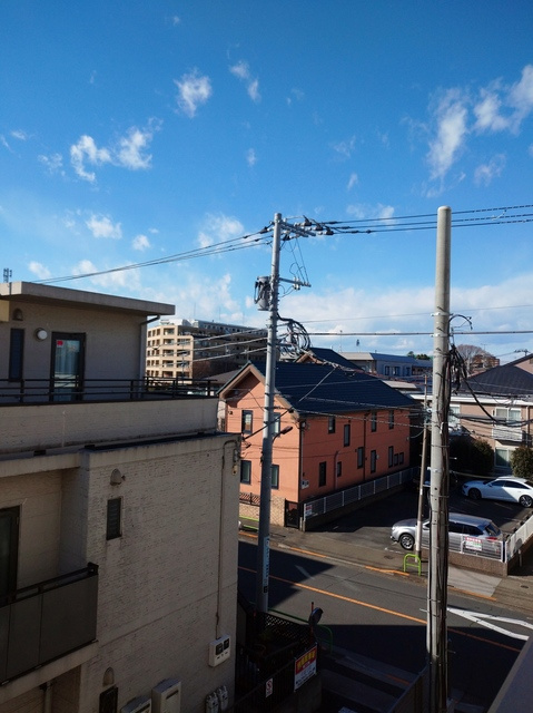 （シニア限定・ペット共生）アルモニーレジダンス氷川台の展望|閑静な住宅地