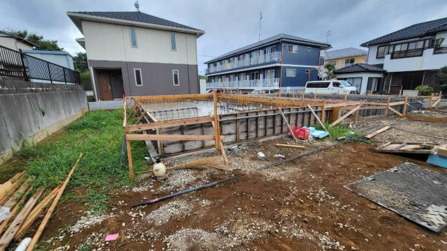 ドルトワールRayの画像