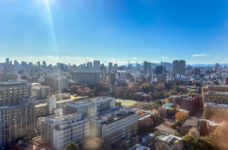 ルネッサンスタワー上野池之端の展望