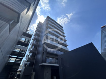 THEROOTSESAKAの画像