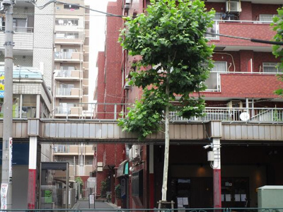 【展望】 | プラム鍋横