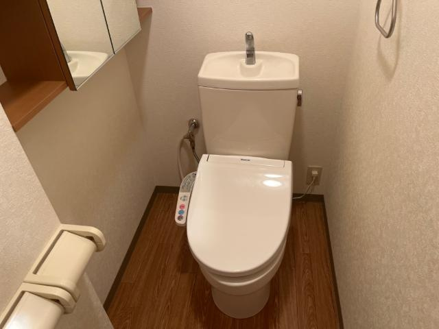 グラン・アムール弐番館のトイレ|シャワー付トイレ
