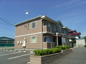 コモドカーサの画像
