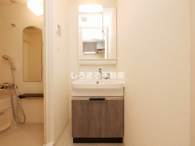 プレサンス南堀江ザ・センスの洗面所