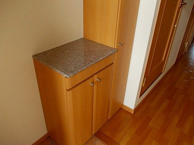 【玄関】 | リバーサイドブライト | 落ち着いた玄関です