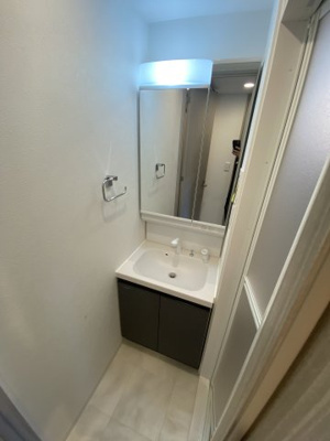 【独立洗面台】 | セオリー神戸アクアグルーブ