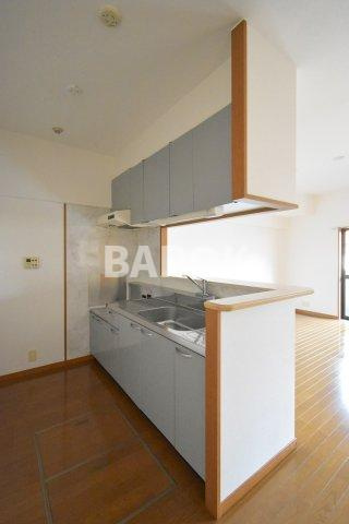 ニュー・アンフィニーのキッチン