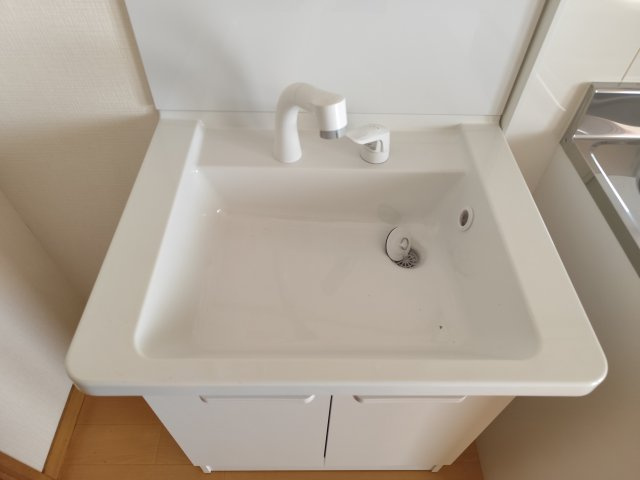 コーポスズキの洗面所