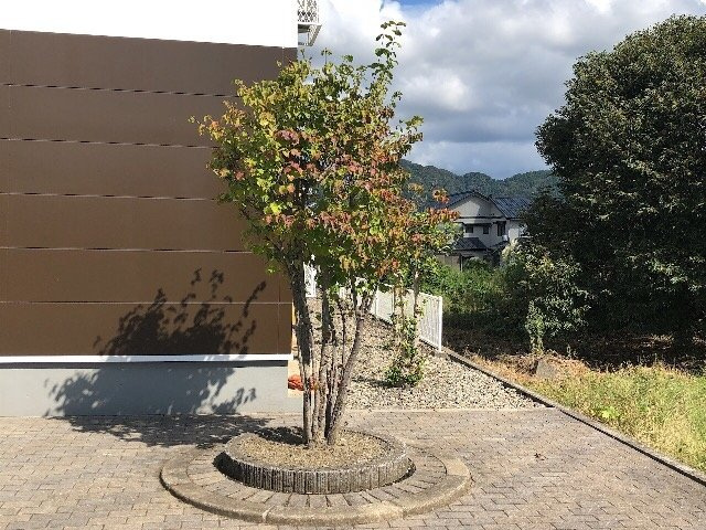 レオパレスノアのその他