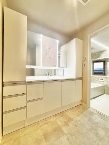 ルネヒューマンズガーデンパラディオB棟の洗面所