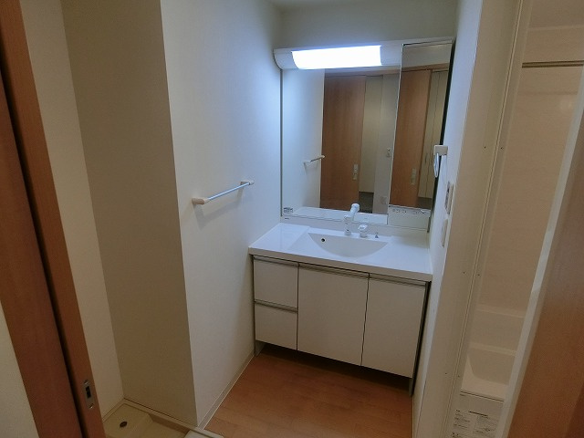 グランジェ東甲子園の洗面所